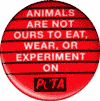 animals are not ours to eat, wear or experiment on.